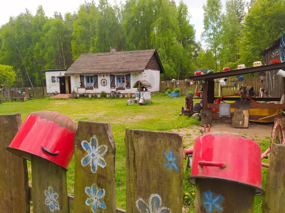 Zagroda Zalipie Gostynin Exteriér fotografie