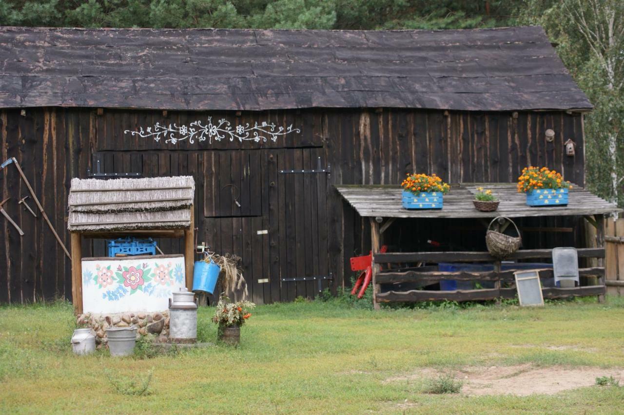 Zagroda Zalipie Gostynin Exteriér fotografie