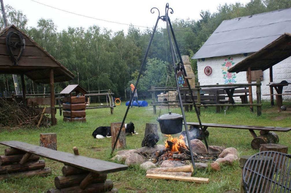 Zagroda Zalipie Gostynin Exteriér fotografie
