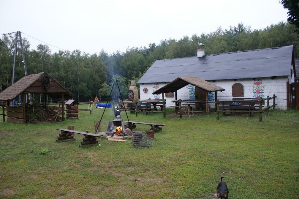Zagroda Zalipie Gostynin Exteriér fotografie