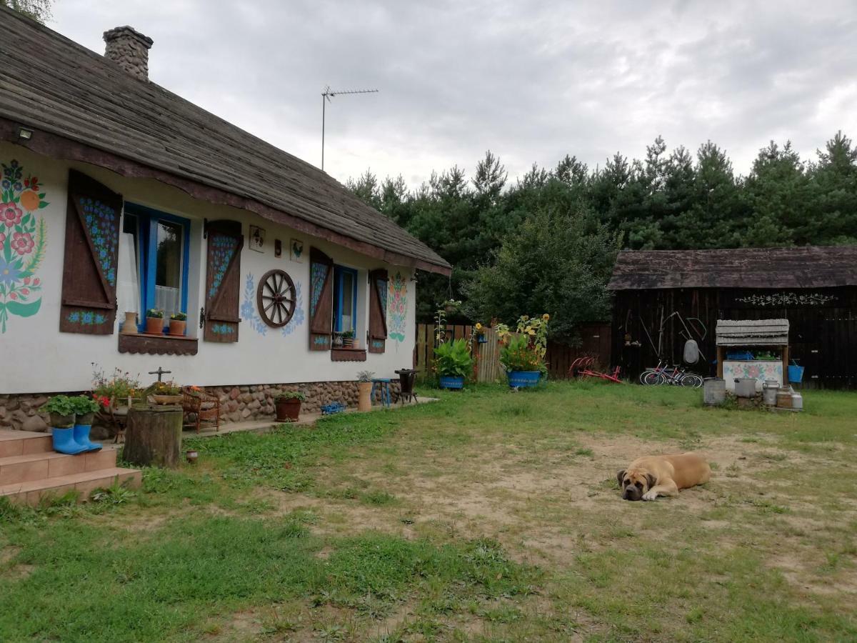 Zagroda Zalipie Gostynin Exteriér fotografie
