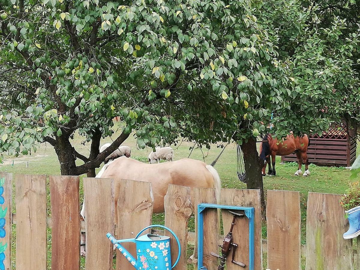 Zagroda Zalipie Gostynin Exteriér fotografie