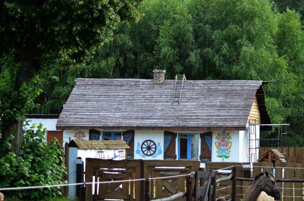 Zagroda Zalipie Gostynin Exteriér fotografie