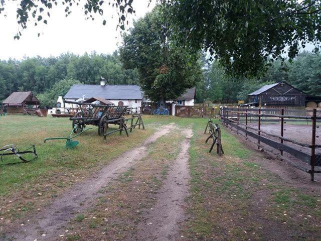 Zagroda Zalipie Gostynin Exteriér fotografie